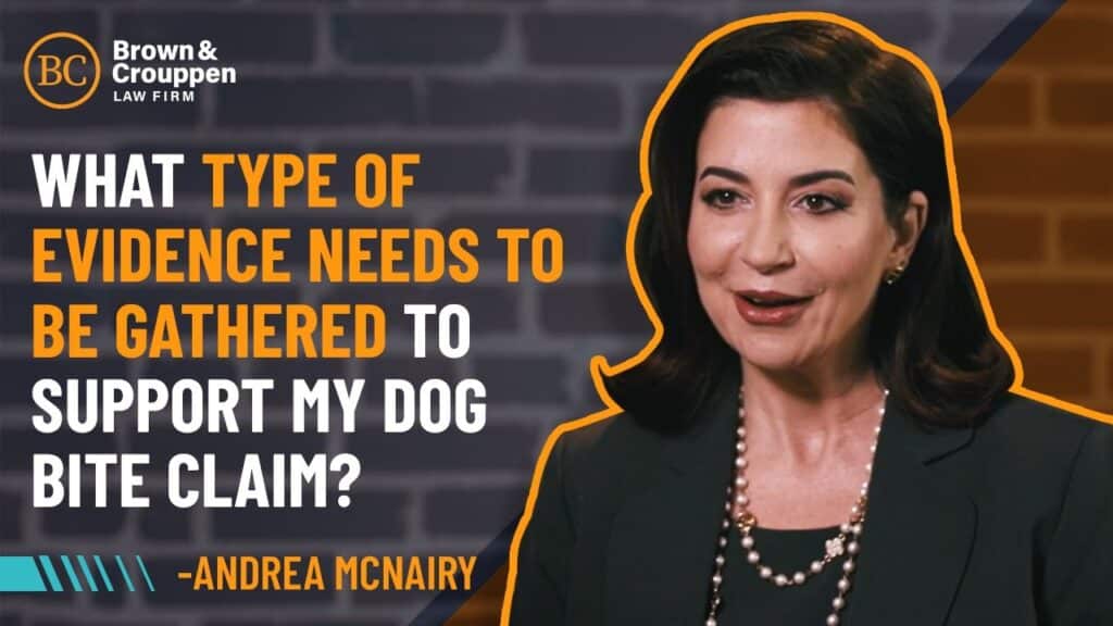 Attorney Andrea McNairy on the types of evidence needed to support a dog bite claim